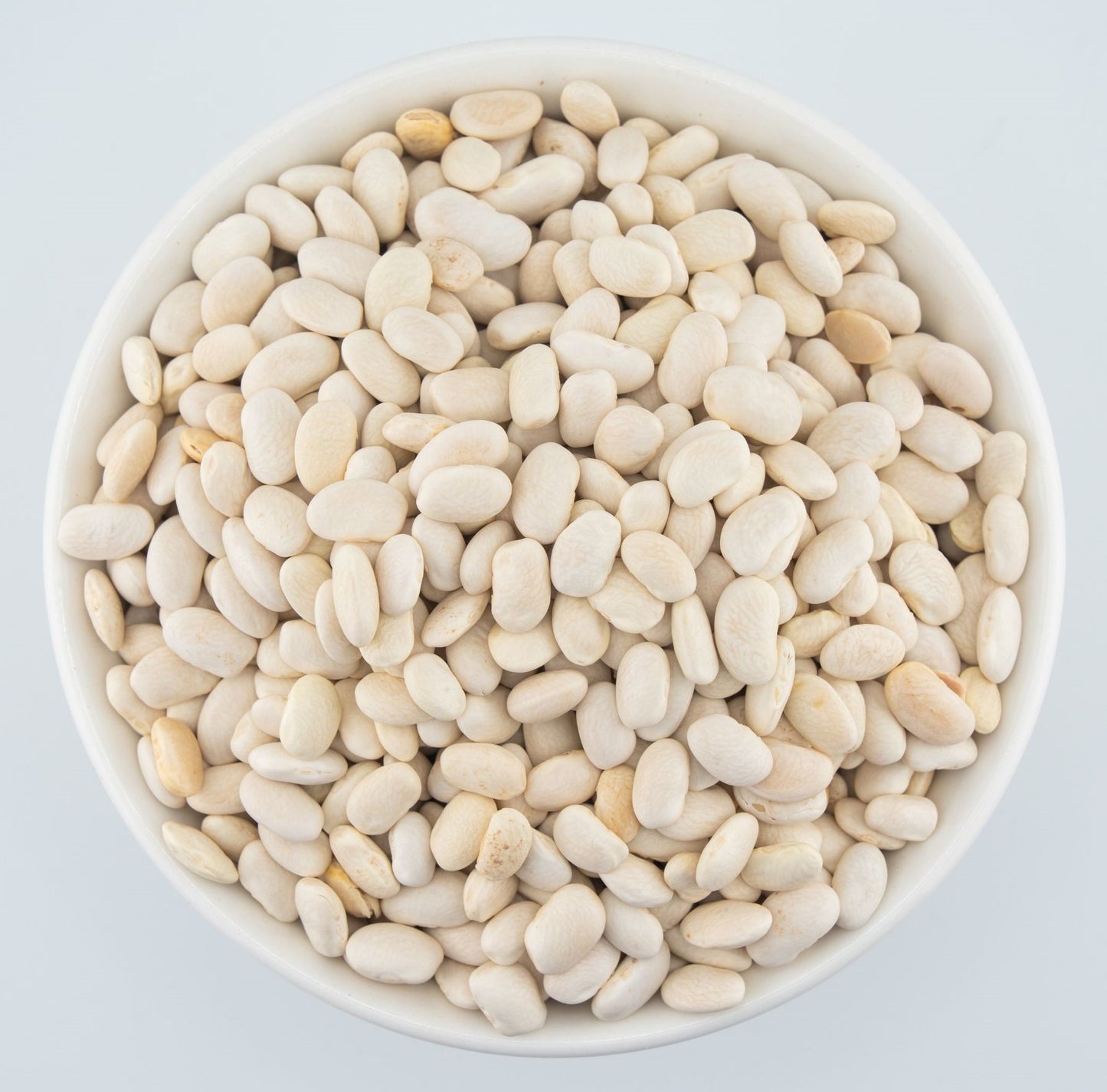 White Bean