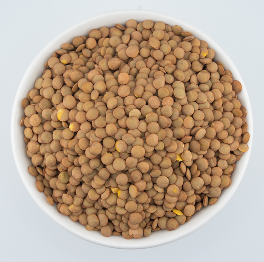 Lentil