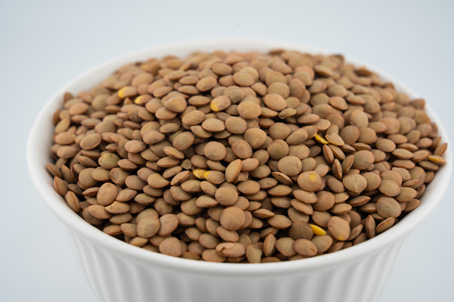 Lentil