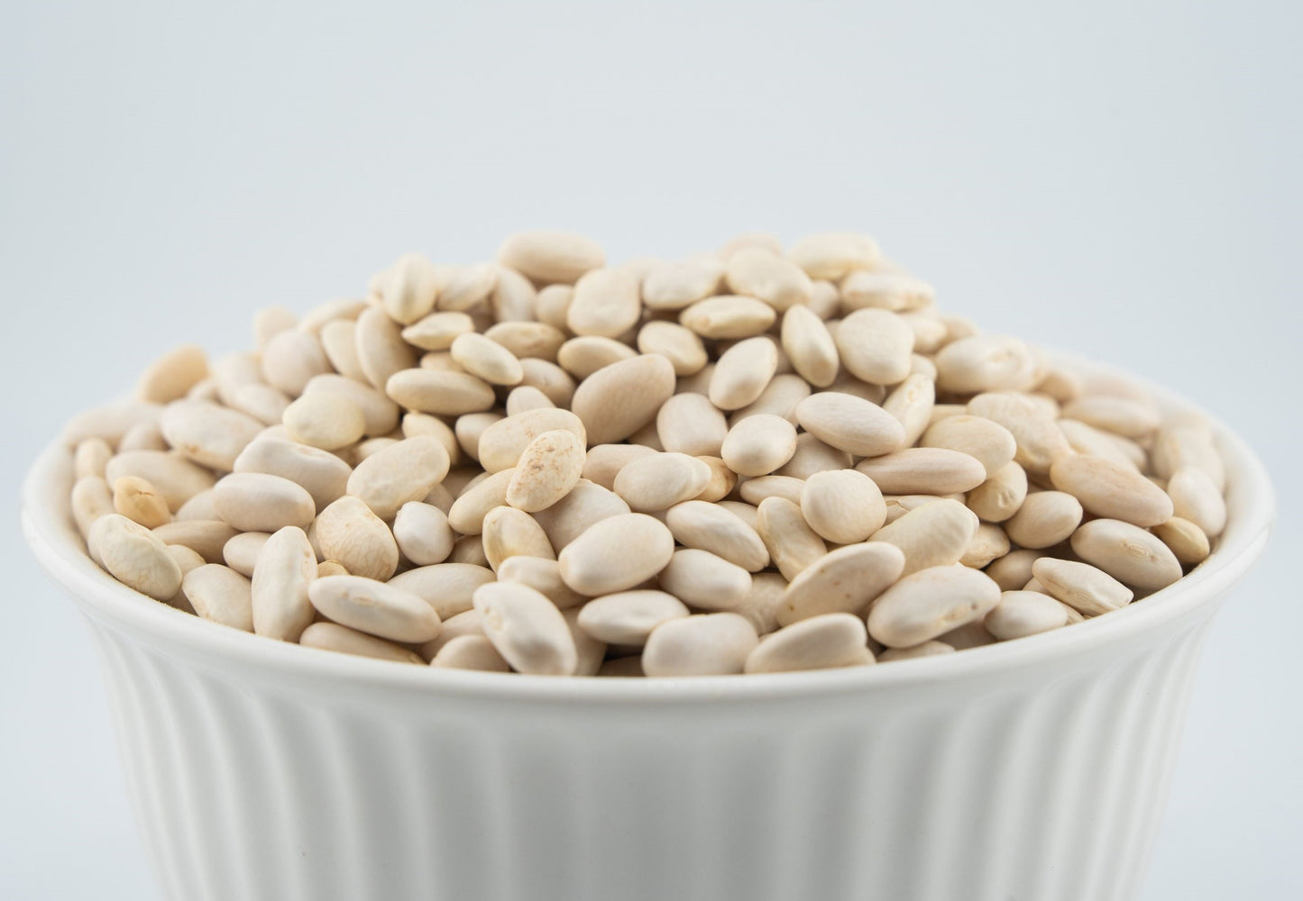 White Bean